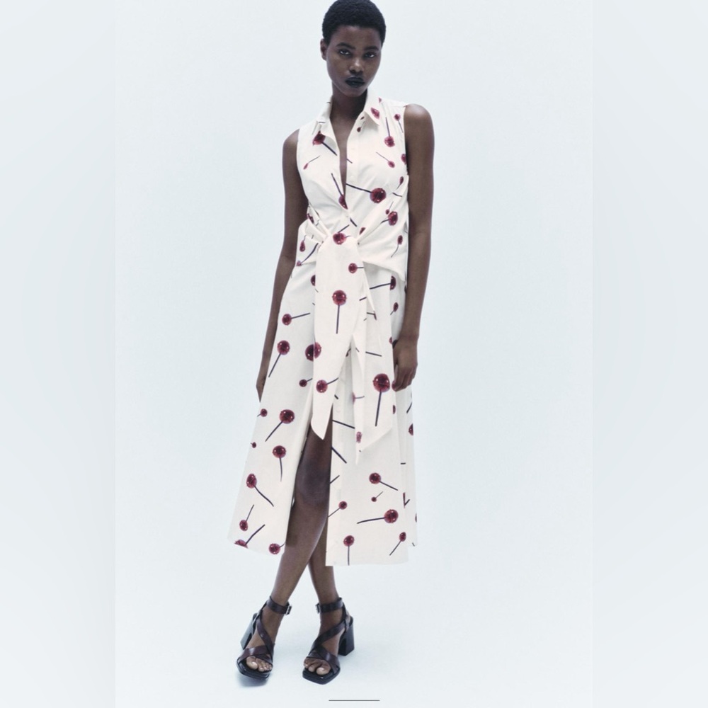 Zara Print Poplin Shirtdress .New With Tags.